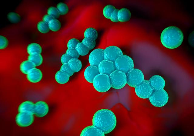 Naučnici pronašli lek koji uništava superbakterije